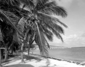 "View of beach area at the Bahia Honda State Park - Monroe County, Florida" 1972