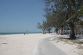 "Looking across Higgs Beach - Key West, Florida" 2006