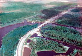 Aerial view showing highway crossing the Suwannee River near Old Town, Florida  [Closest thing I could come up with]