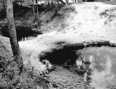 19-- Photo of Blue Spring