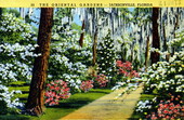 19-- Postcard of the Oriental Gardens