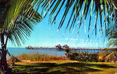 Naples Pier, color postcard