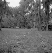 Couldn't find image located in Ridge Manor; this image depicts the remains of Fort King Road in the Dade Battlefield Historic State Park in Bushnell, Florida