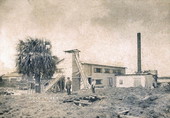 ca 1912 Photo of Fiber Plant