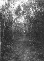 "East line of Perrine grant"